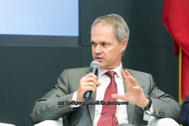 Martin Gr&uuml;ll, CFO Raiffeisen International Bank AG