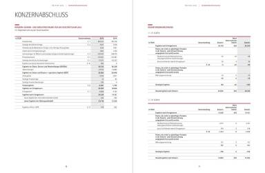 Polytec Geschäftsbericht - Konzernabschluss